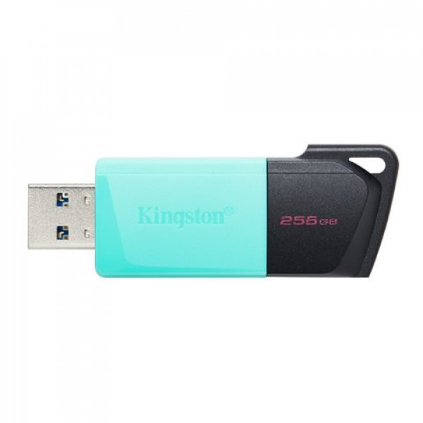 USB FD.256GB KINGSTON DTXM/256GB