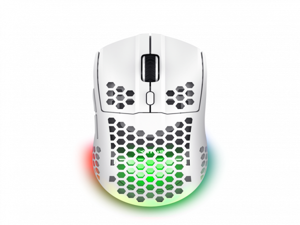 https://www.buscomputers.rs/images/products/big/77932.png
